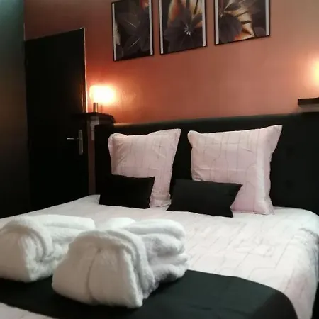 Apartment Avec Balneo Et Sauna Privatif - Centre